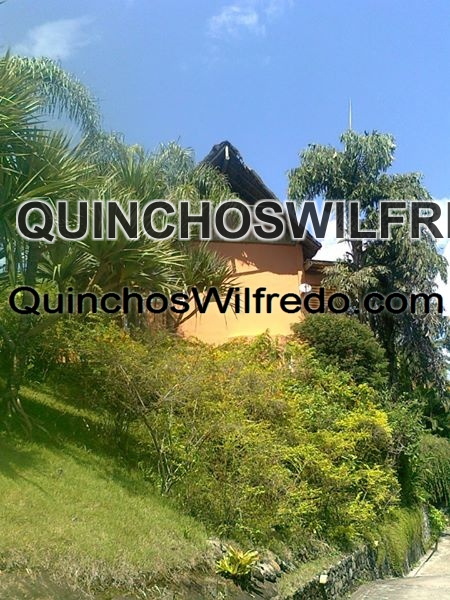 Quinchos Wilfredo