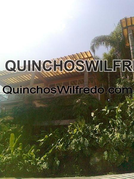 Quinchos Wilfredo