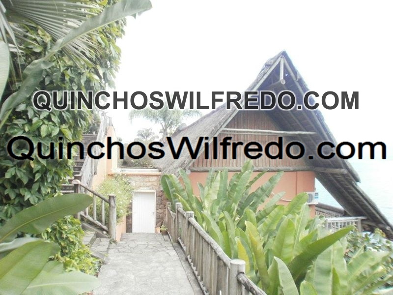 Quinchos Wilfredo