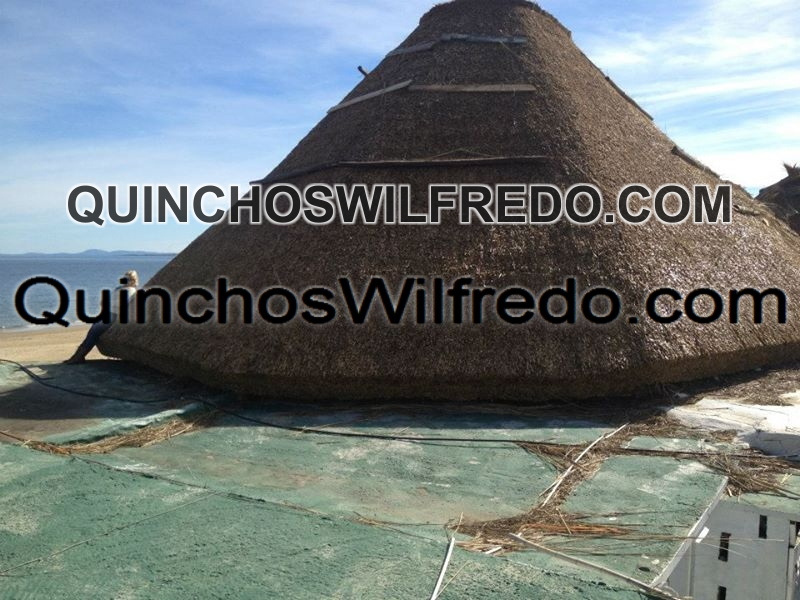 Quinchos Wilfredo