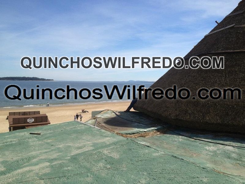 Quinchos Wilfredo