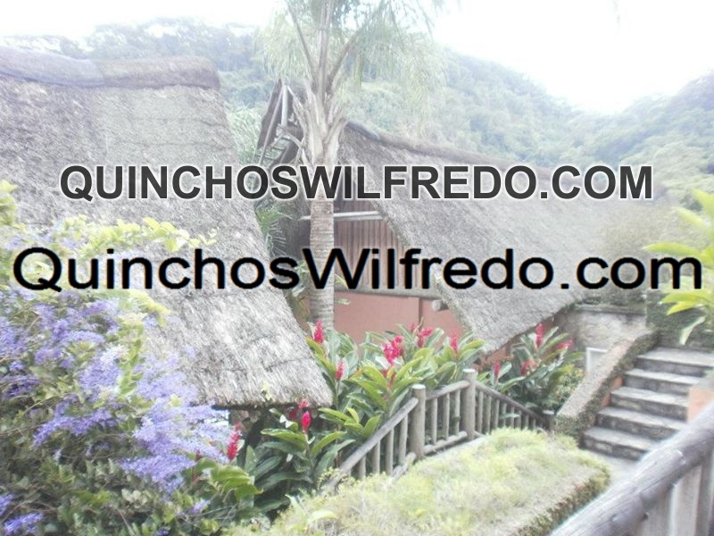 Quinchos Wilfredo