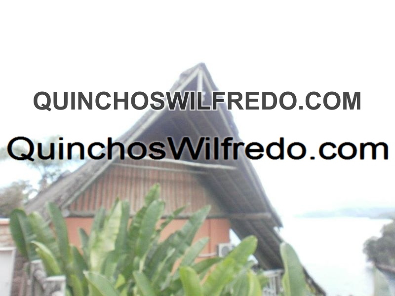Quinchos Wilfredo