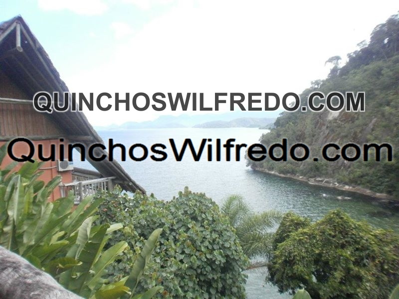 Quinchos Wilfredo