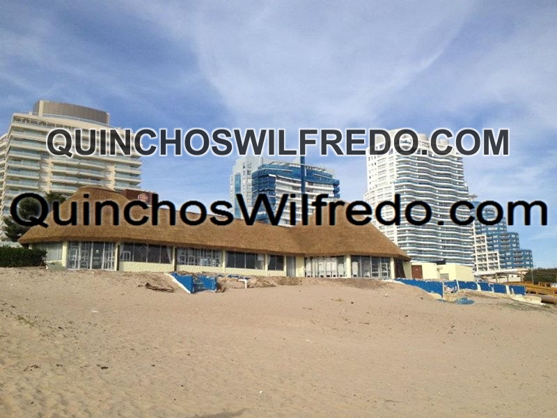 Quinchos Wilfredo