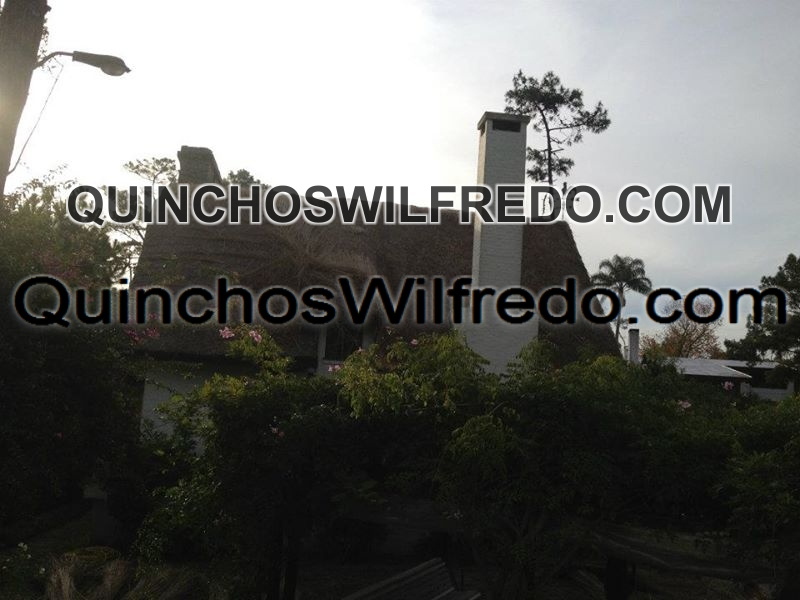 Quinchos Wilfredo