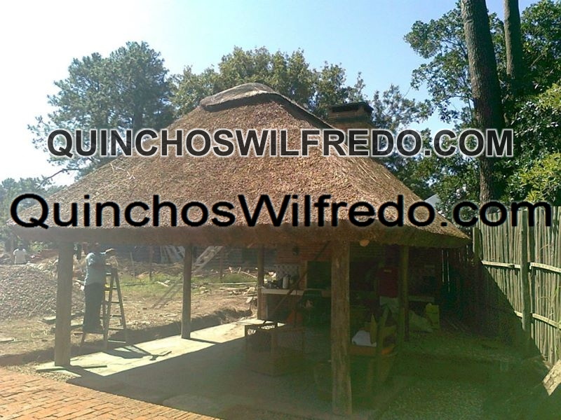 Quinchos Wilfredo