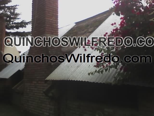 Quinchos Wilfredo