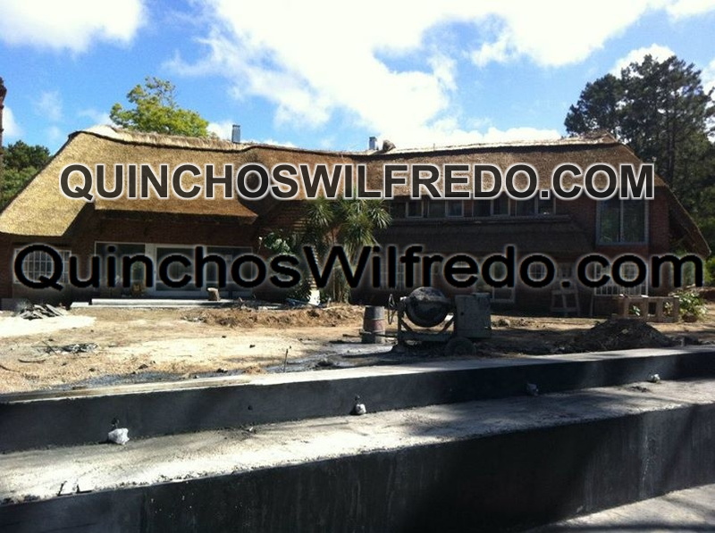 Quinchos Wilfredo