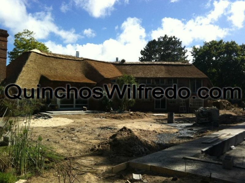 Quinchos Wilfredo