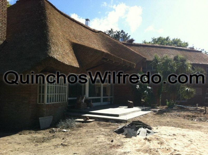 Quinchos Wilfredo