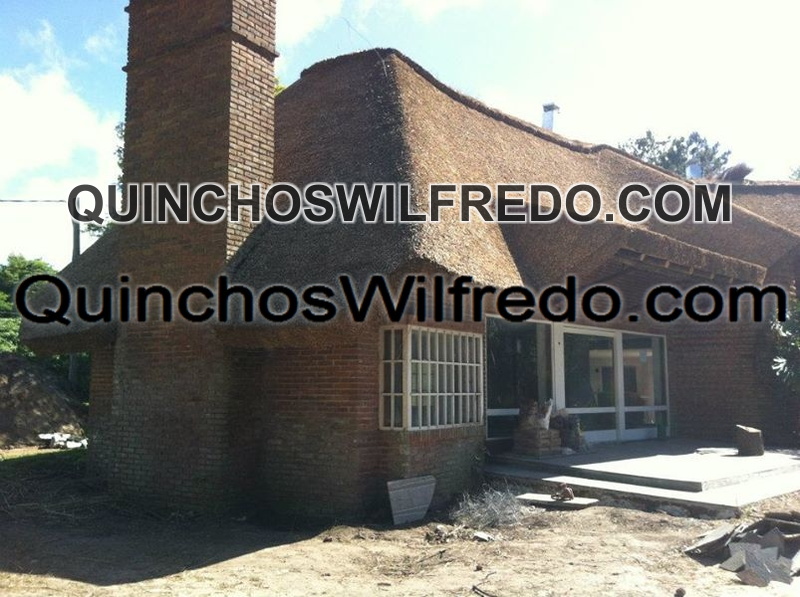 Quinchos Wilfredo