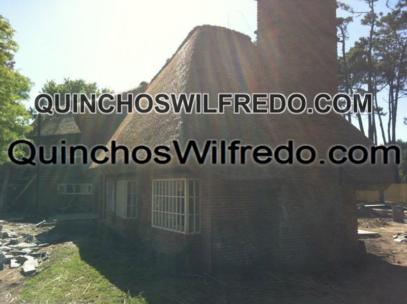 Quinchos Wilfredo