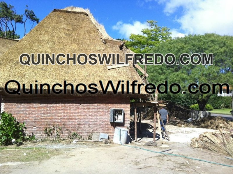 Quinchos Wilfredo