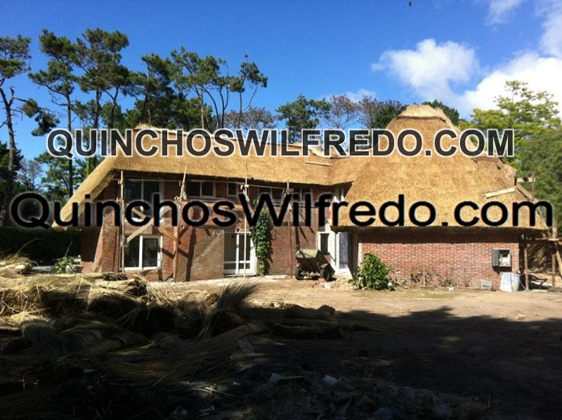 Quinchos Wilfredo