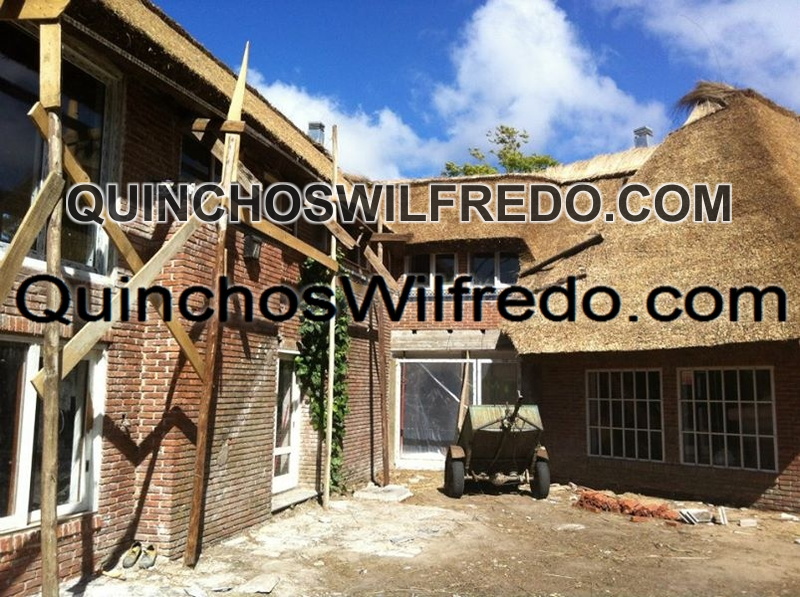 Quinchos Wilfredo