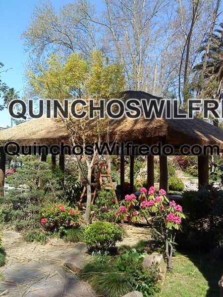 Quinchos Wilfredo