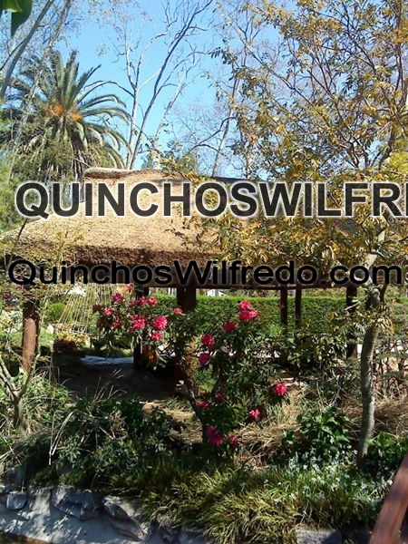 Quinchos Wilfredo