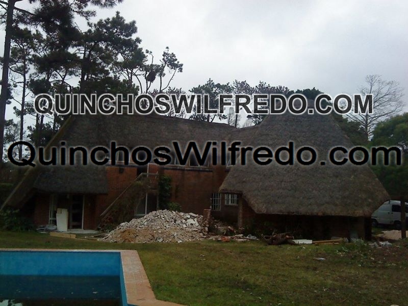 Quinchos Wilfredo