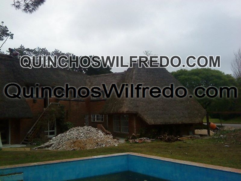 Quinchos Wilfredo