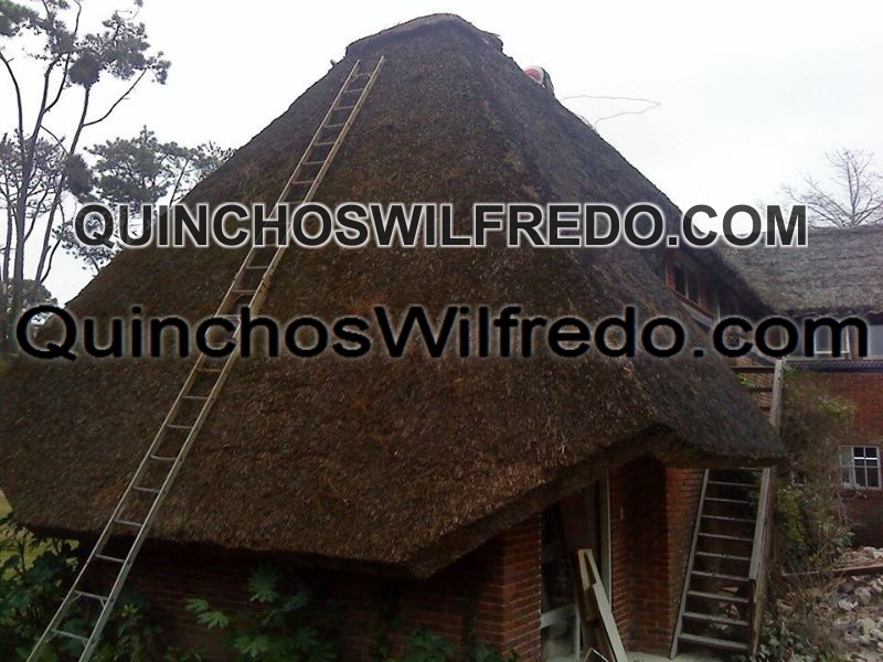 Quinchos Wilfredo