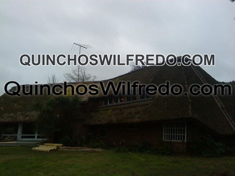 Quinchos Wilfredo