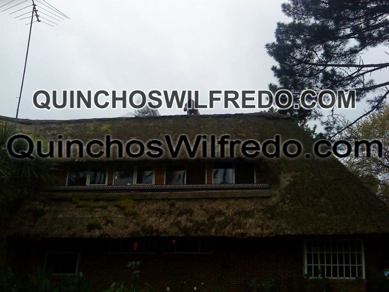 Quinchos Wilfredo