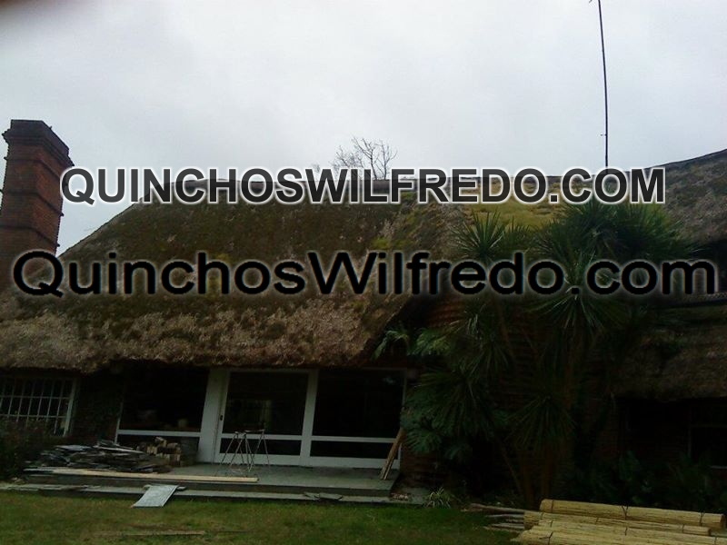 Quinchos Wilfredo