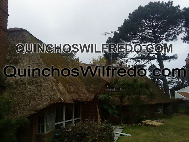 Quinchos Wilfredo