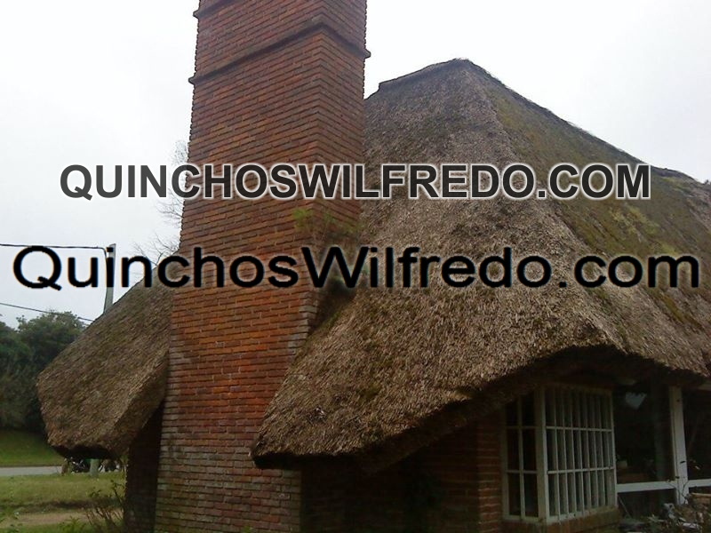 Quinchos Wilfredo