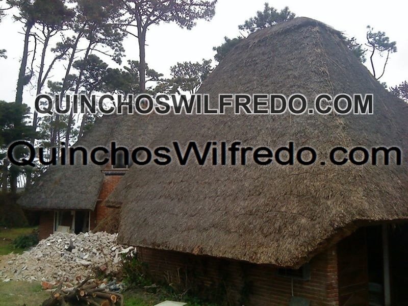 Quinchos Wilfredo