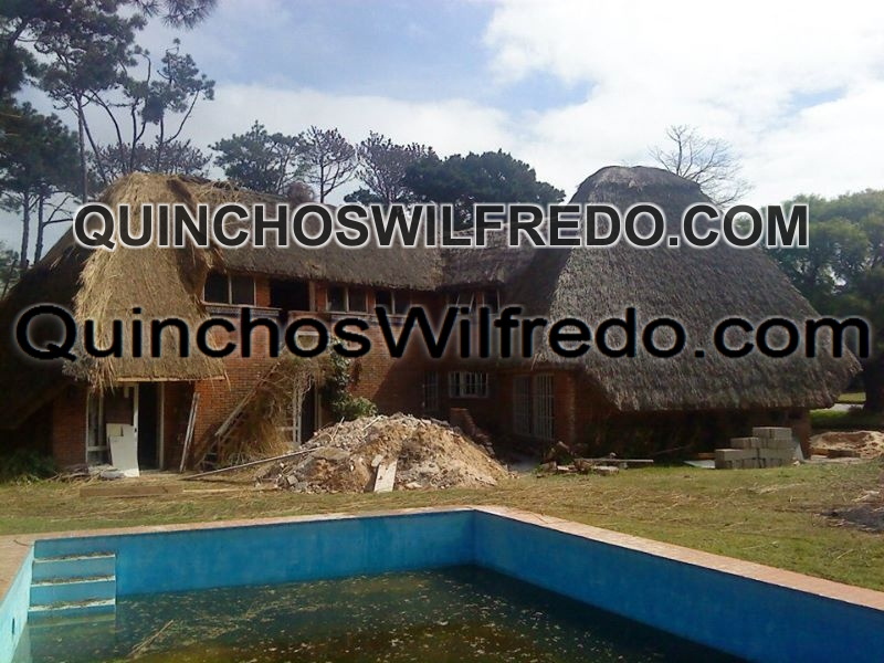 Quinchos Wilfredo