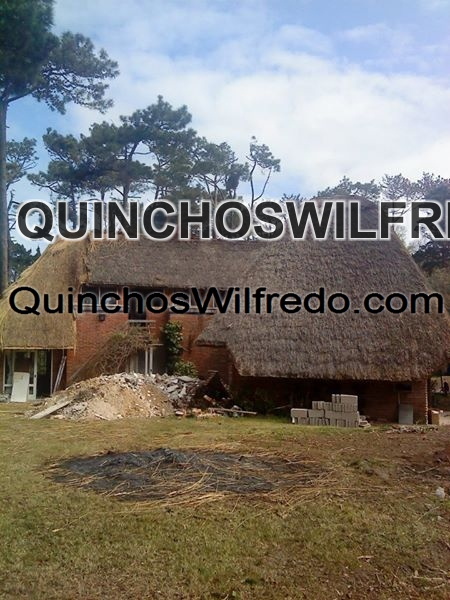 Quinchos Wilfredo