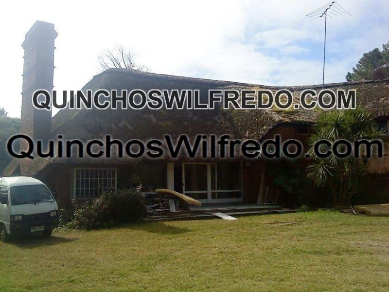 Quinchos Wilfredo