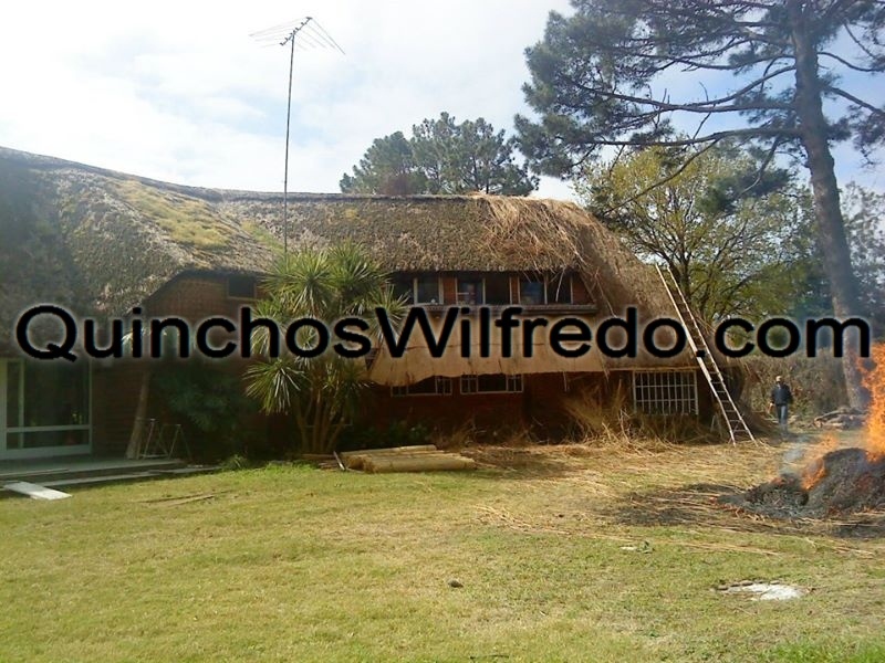 Quinchos Wilfredo