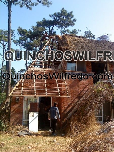 Quinchos Wilfredo