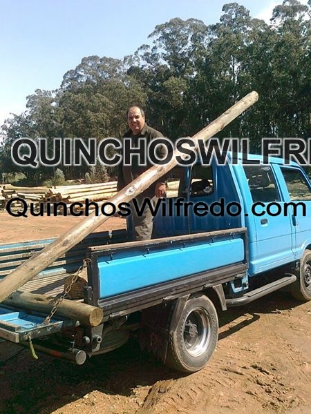 Quinchos Wilfredo
