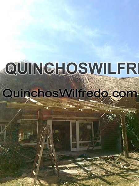 Quinchos Wilfredo