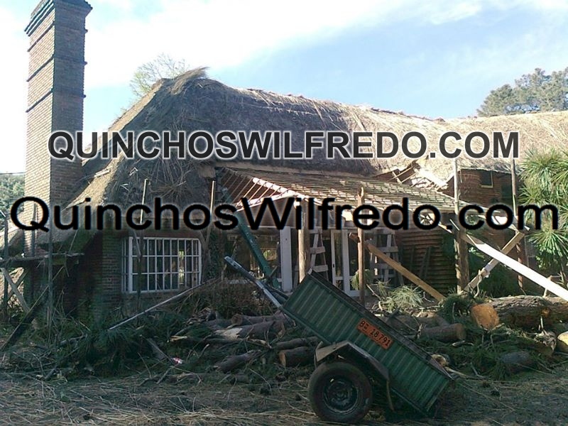 Quinchos Wilfredo