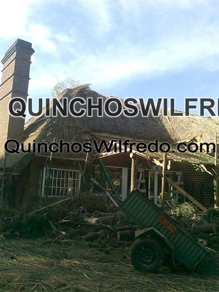 Quinchos Wilfredo