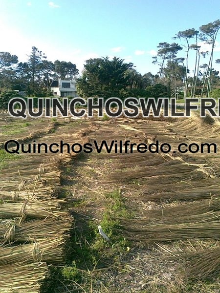 Quinchos Wilfredo