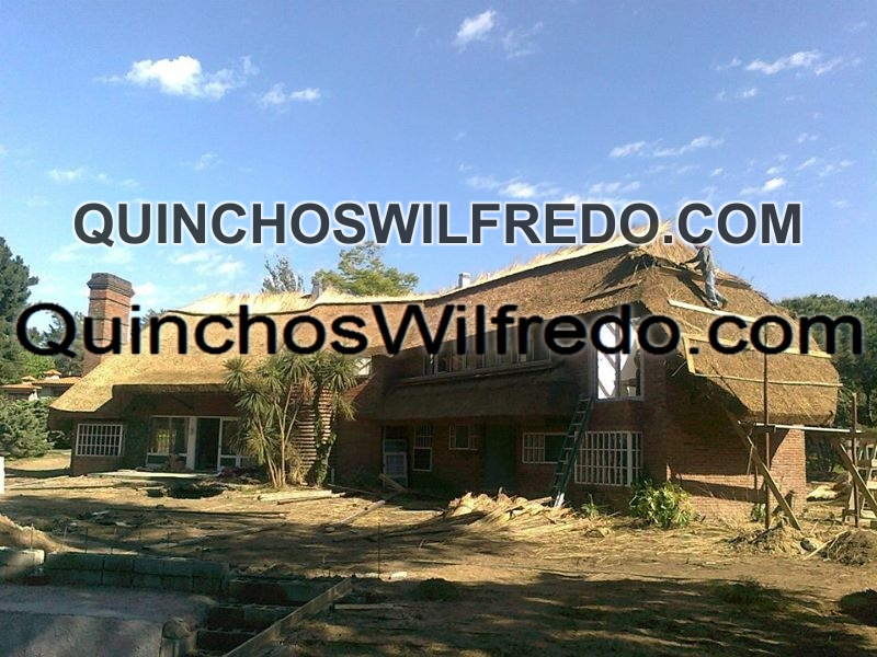 Quinchos Wilfredo