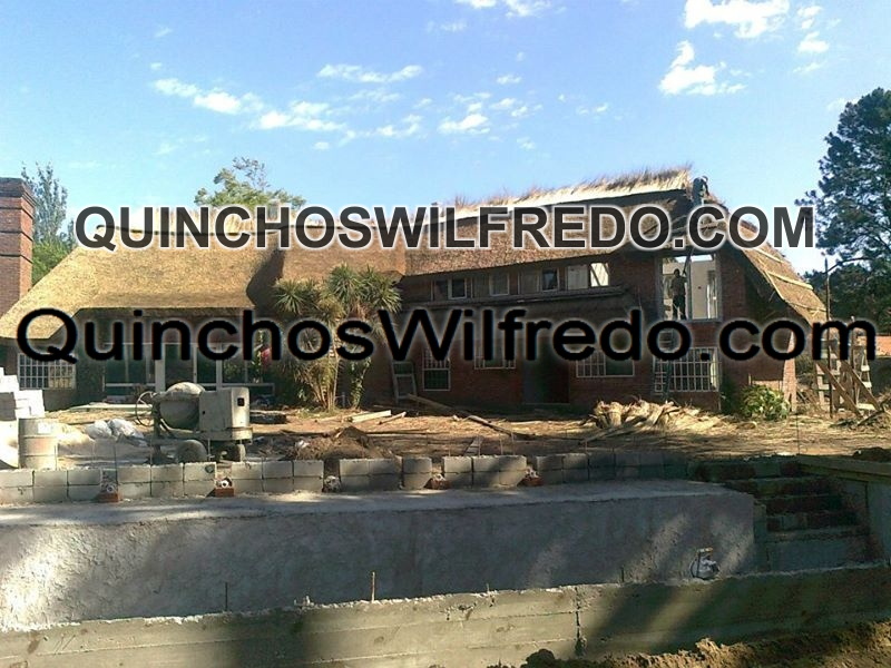 Quinchos Wilfredo
