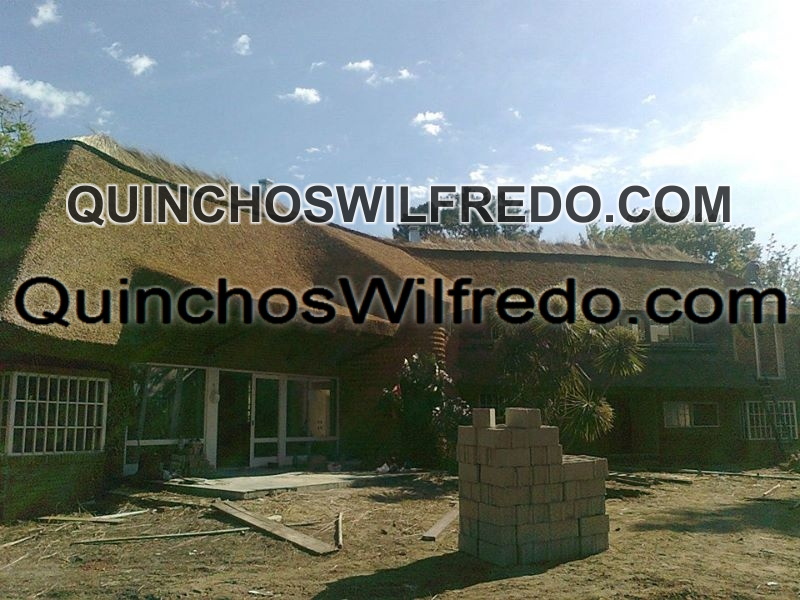 Quinchos Wilfredo