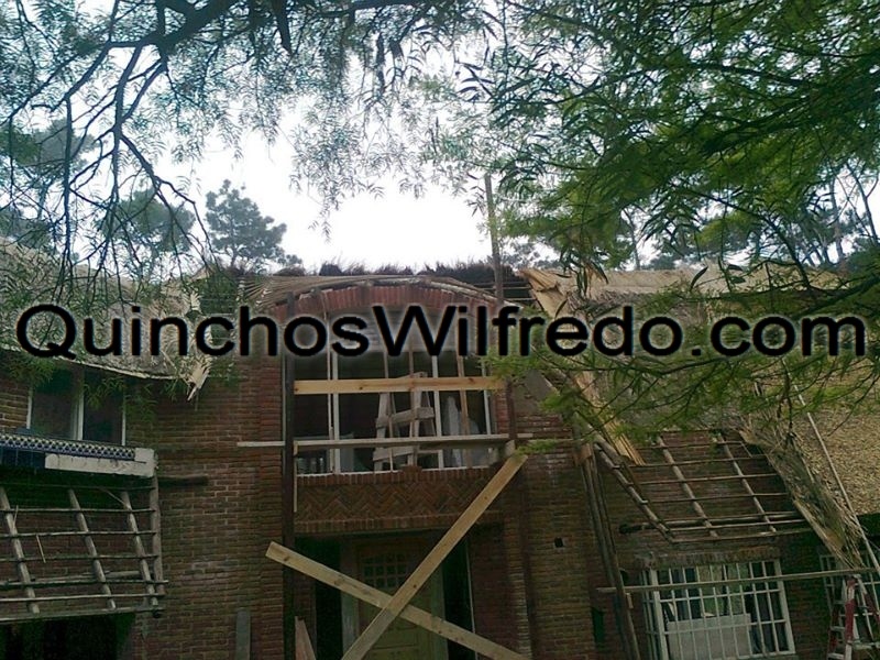 Quinchos Wilfredo