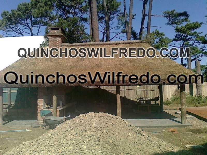 Quinchos Wilfredo