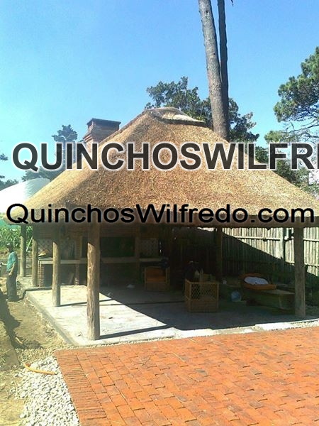 Quinchos Wilfredo