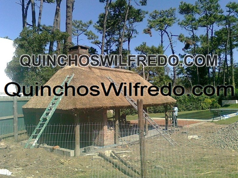 Quinchos Wilfredo
