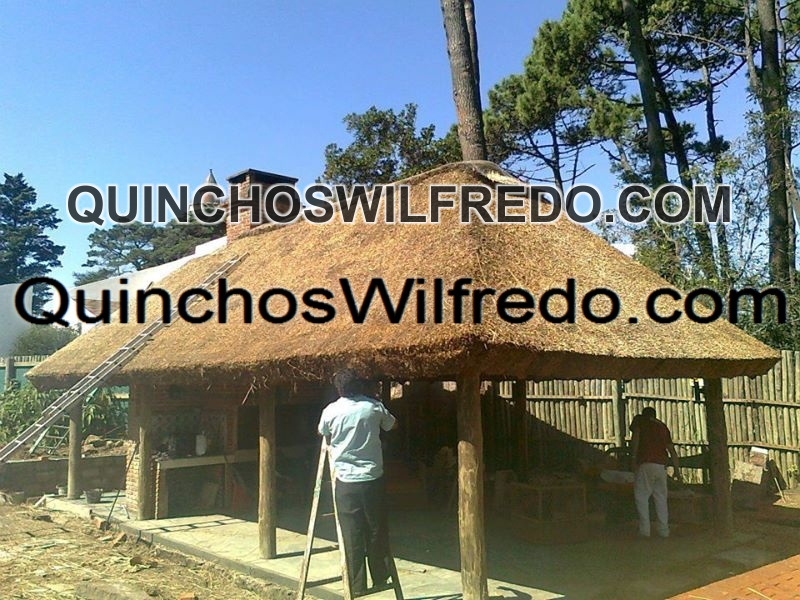 Quinchos Wilfredo