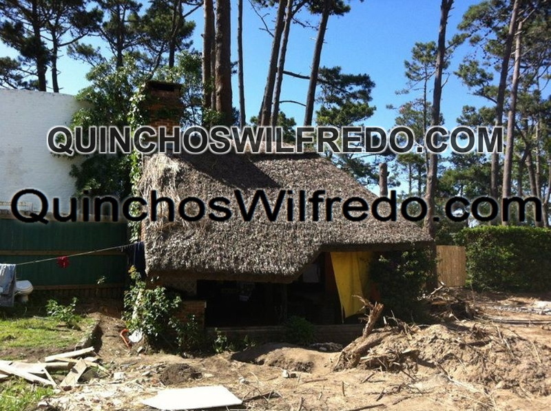Quinchos Wilfredo